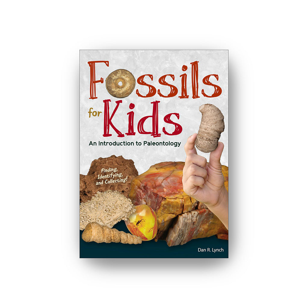 Fossils for Kids Book