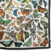 Butterflies Art Scarf #5-22