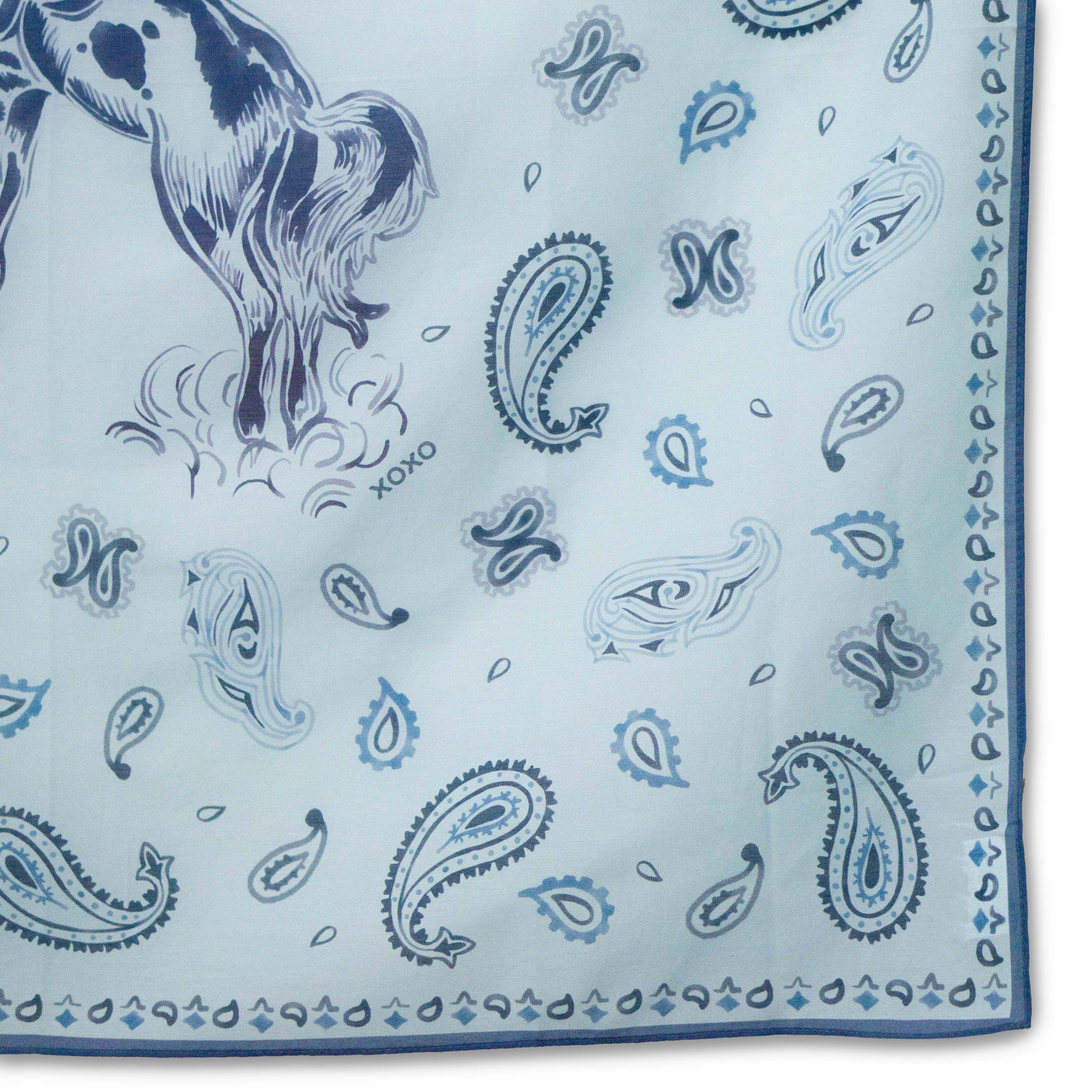 Bandana Cowboy Art Scarf #5-2